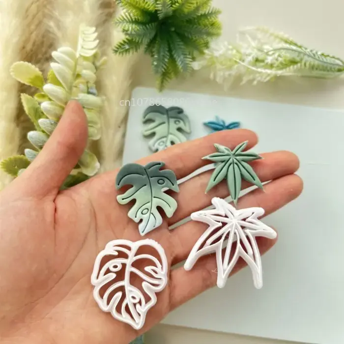 Feuilles de tortue, plantes naturelles tropicales