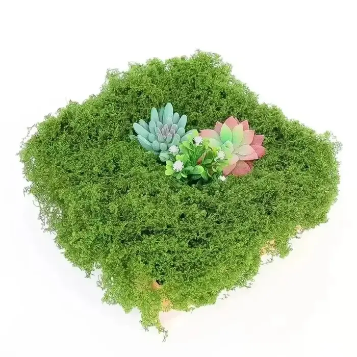 Plantes vertes artificielles