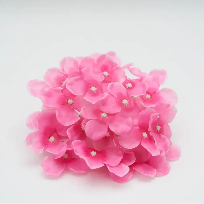 Tête de fleur d'hortensia de Simulation