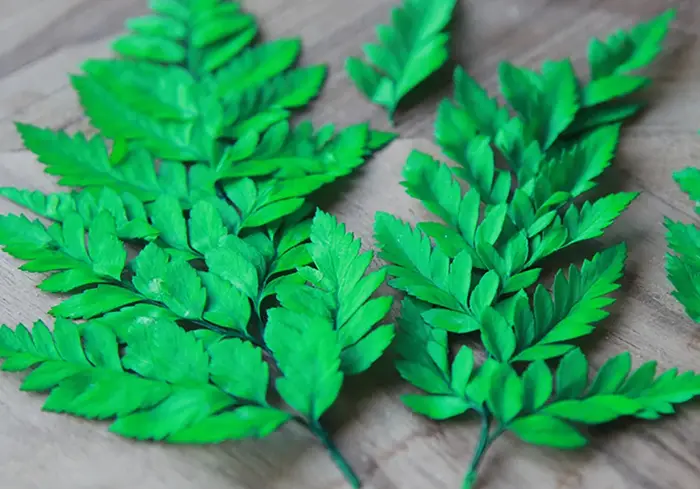 10 pièces de feuilles de fougère alpine éternelle