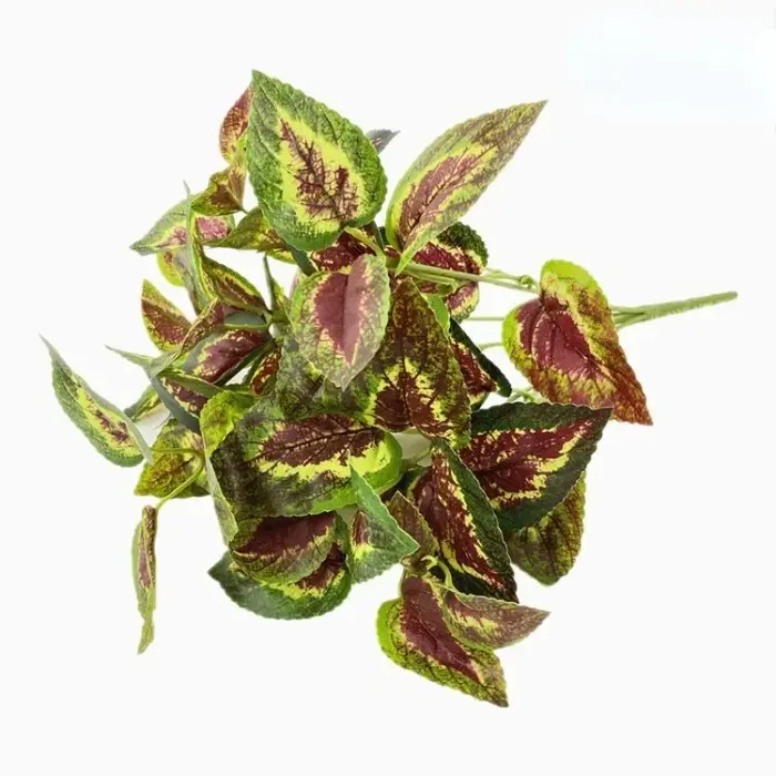 Plante de Simulation d'aloès vert
