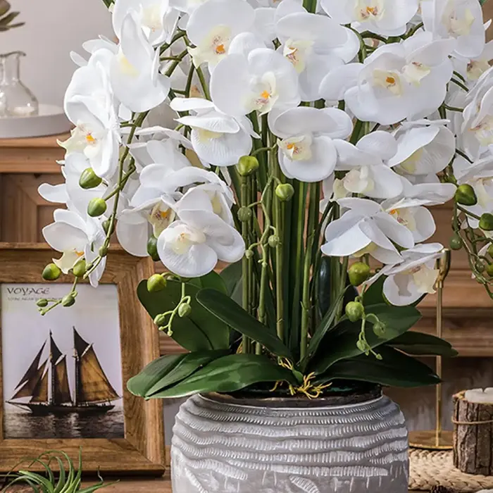 Feuilles d'orchidée artificielles, plante Phalaenopsis réaliste avec racines, fausse verdure pour la décoration intérieure, arrangement de mariage