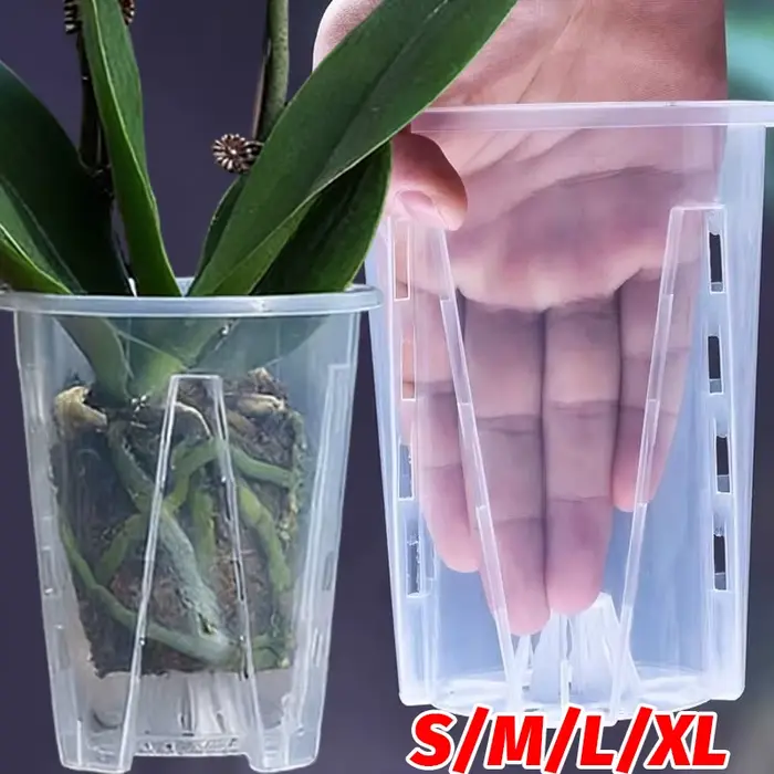 Pots à orchidées transparents en plastique avec trous de drainage pour la plantation d'orchidées papillon