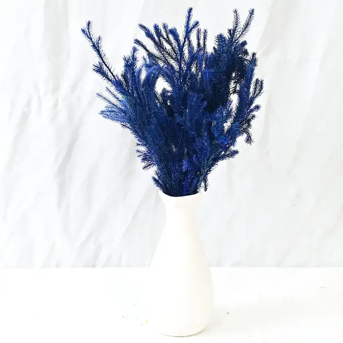 Lycopodium naturel séché pour la décoration de Noël, fleurs éternelles, plantes vertes pour la maiso