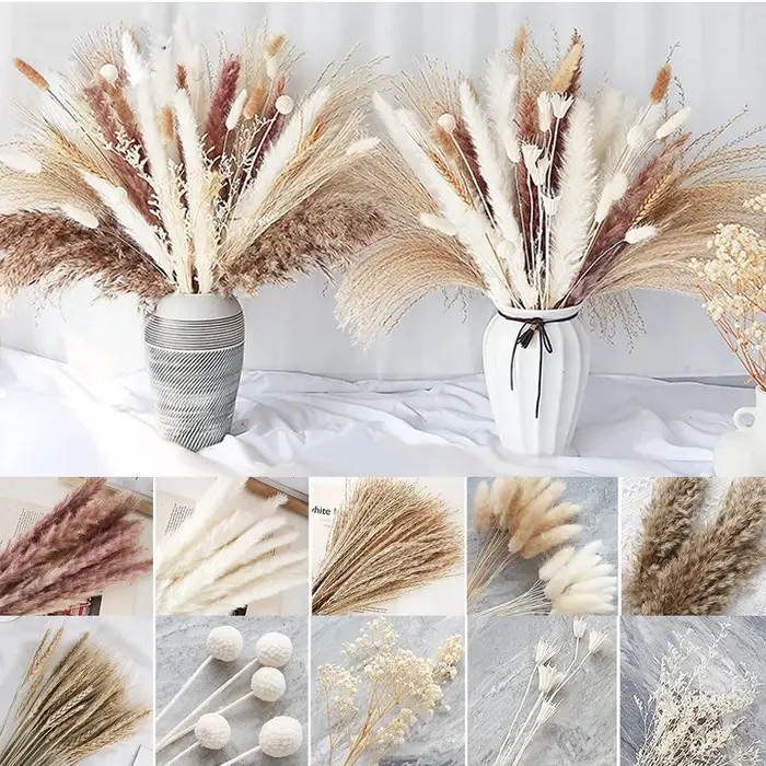 Fleurs séchées naturelles Pampas Gypsophila queue de lapin Bouquet maison salon décor fleur artificielle Pampa décorations de fête de mariage