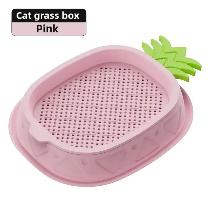 Jardinière hydroponique d'herbe pour chat, plateau de jardinière d'herbe pour chat, conception d'ana