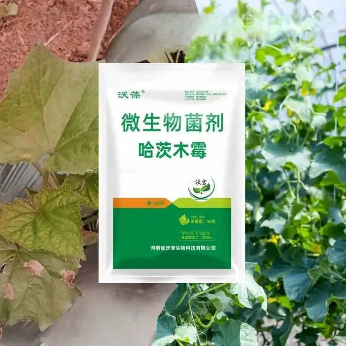 Ensemble de 30 sachets de 30g, bactéries microbiennes Trichoderma Harziana pour la maison, optimise la croissance des racines des légumes, engrais pour l'environnement des plantes.