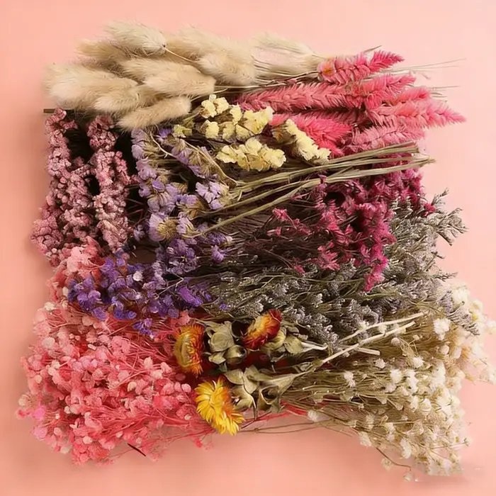 Coffret de matériaux de fleurs séchées mélangées