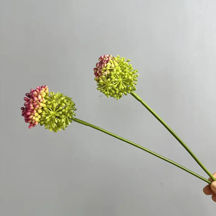 Simulation de fruits de pissenlit