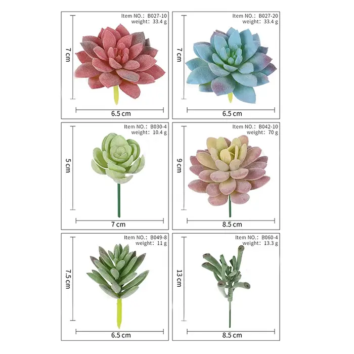 Plantes succulentes artificielles sans pot