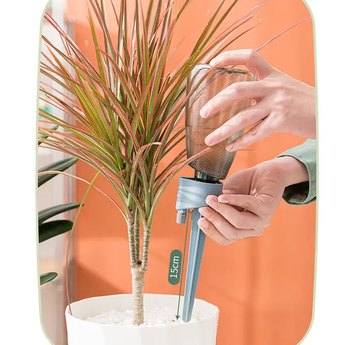 Boules d'arrosage pour plantes vertes avec bouteille