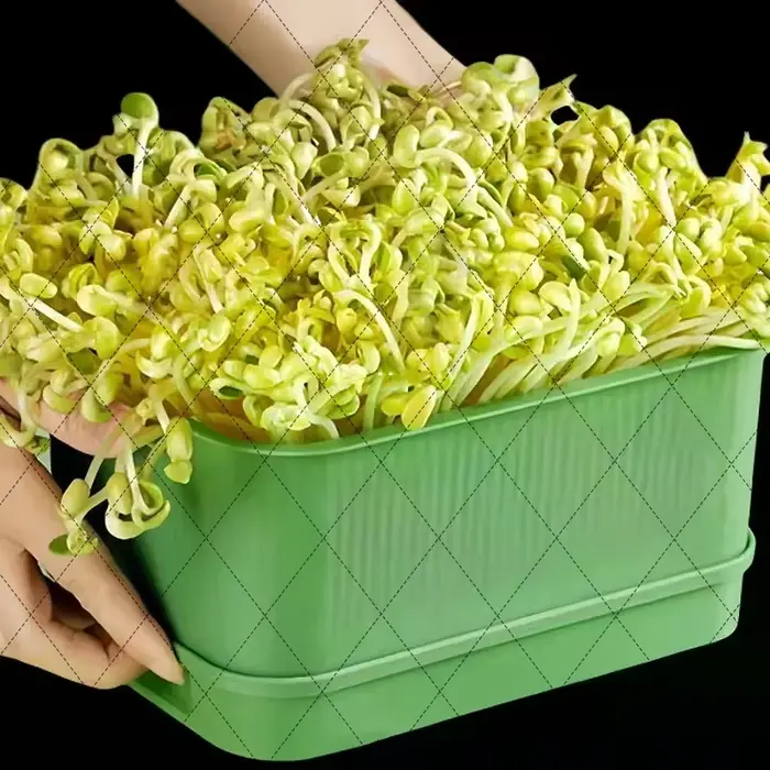 Pots de culture de légumes en plastique, plateau de germination de semis sans sol pour la culture du
