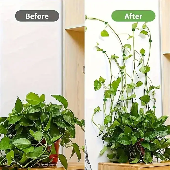 20 pièces, clips de fixation pour mur végétal