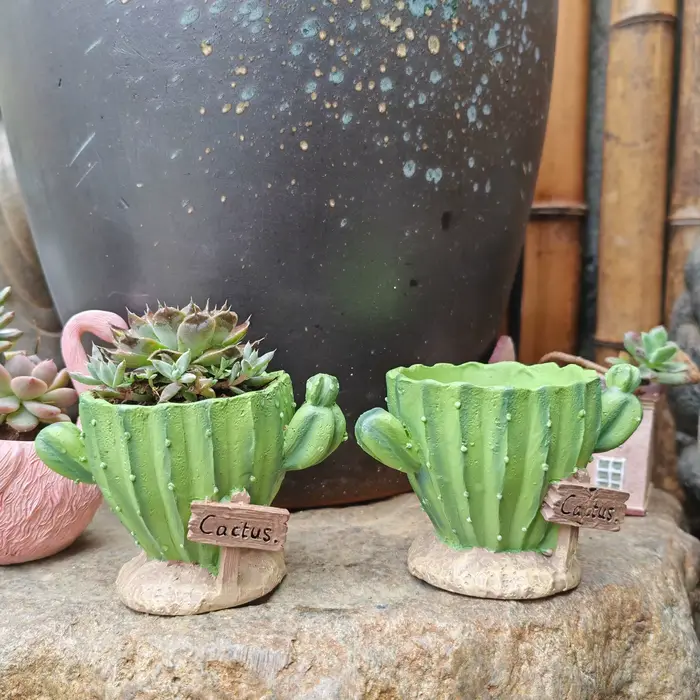 Pot de fleurs pour cactus