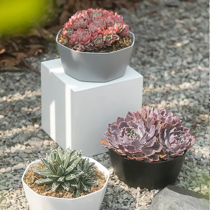 Pots de fleurs d'intérieur en plastique