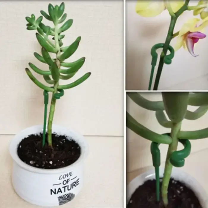 10 piquets de support pour plantes de 27 cm