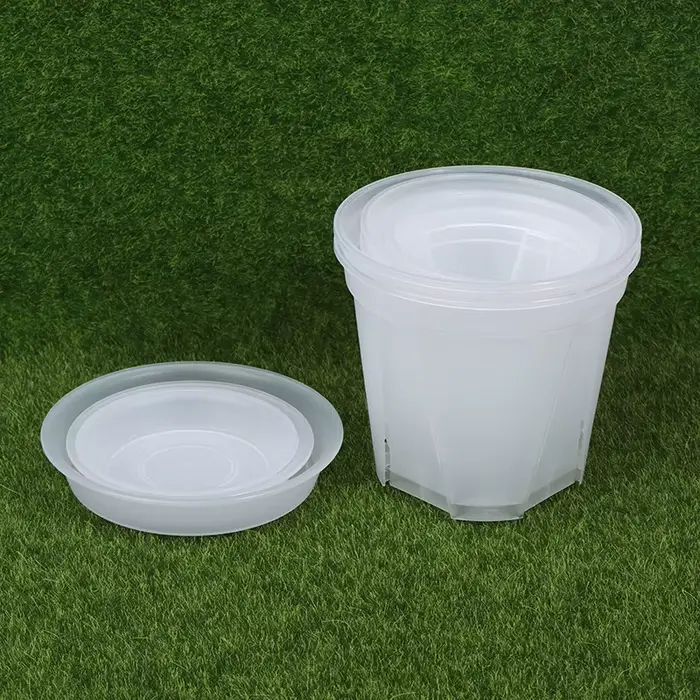 Pot de fleur Transparent avec plateau