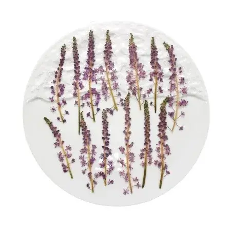 Fleur de Jujube en coton sauvage naturel