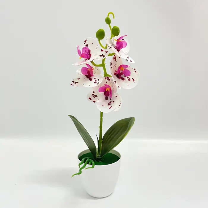 Plantes en pot d'orchidées papillon à 5 fleurs, bonsaï de plante verte de haute qualité et réaliste,