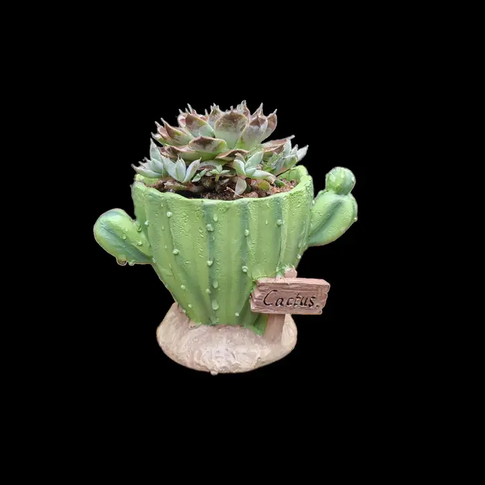 Pot de fleurs pour cactus, mini pot en résine mignon avec trous de drainage, décoration intérieure e
