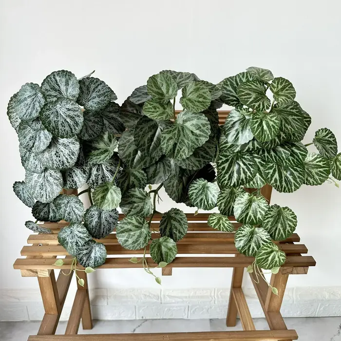 Plantes vertes simulées d'aloès vert