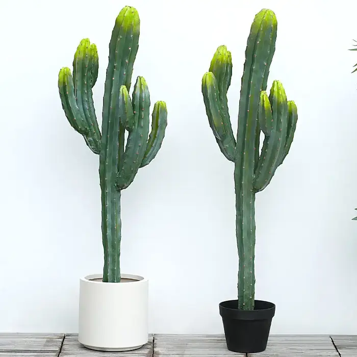 Plante tropicale succulente artificielle avec pot
