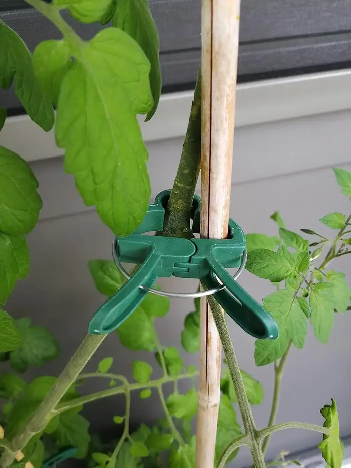 Clips de jardinage pour plantes