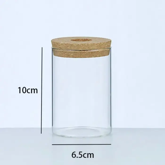 Pot de fleur hydroponique transparent pour la maison