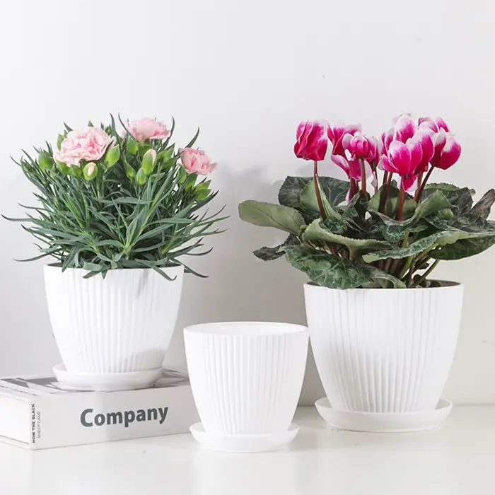 Pot de fleur en plastique Pot de plante succulente avec plateau aneth vert rond Double couche petit Pot