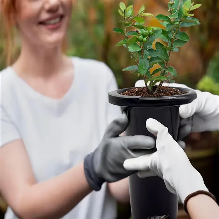 Pots de pépinière en plastique pour plantes profondes AA81-30Pcs
