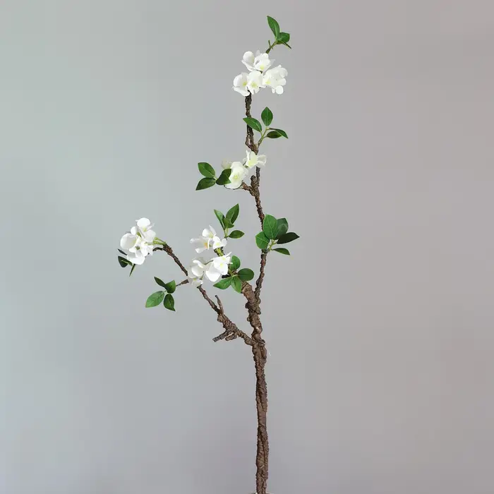 Nouvelle brindille d'arbre flétri, fleur de prunier blanche, branche de fleur avec fausses feuilles,