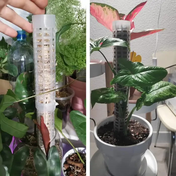 Colonne de support en plastique pour plantes grimpantes
