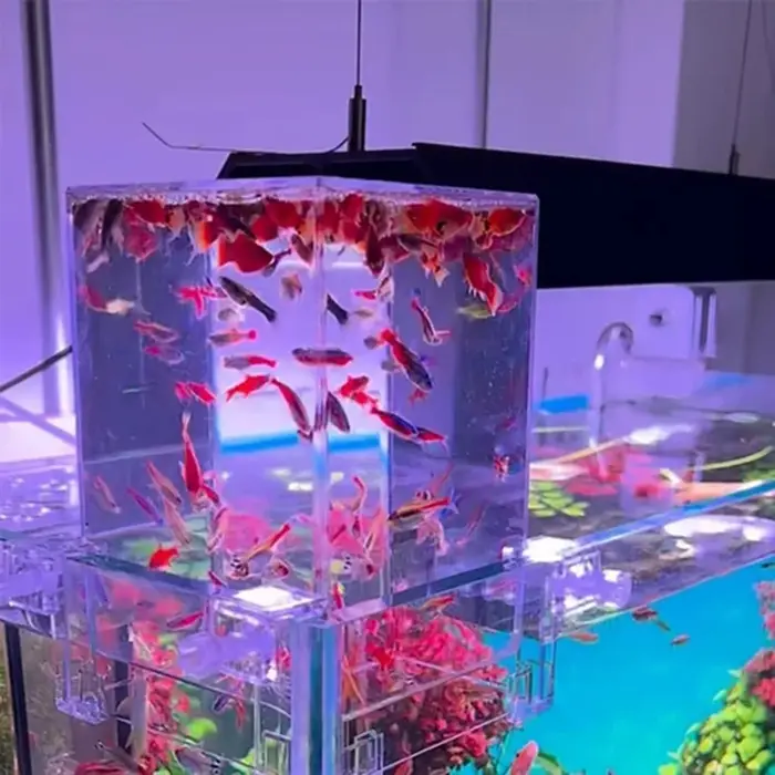 Aquariums pression négative Aquarium clair aérien Aquarium Extender écologique aménagement paysager 