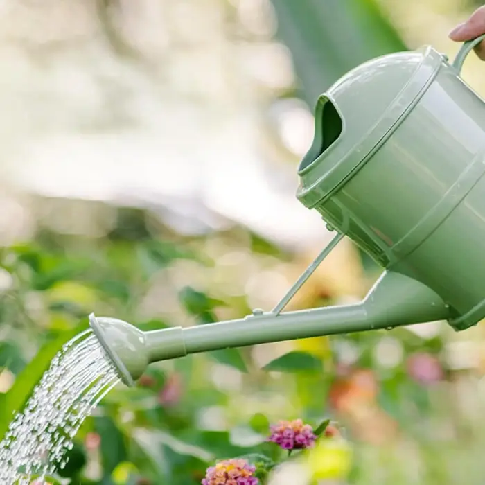Arrosoir pour plantes de 1
