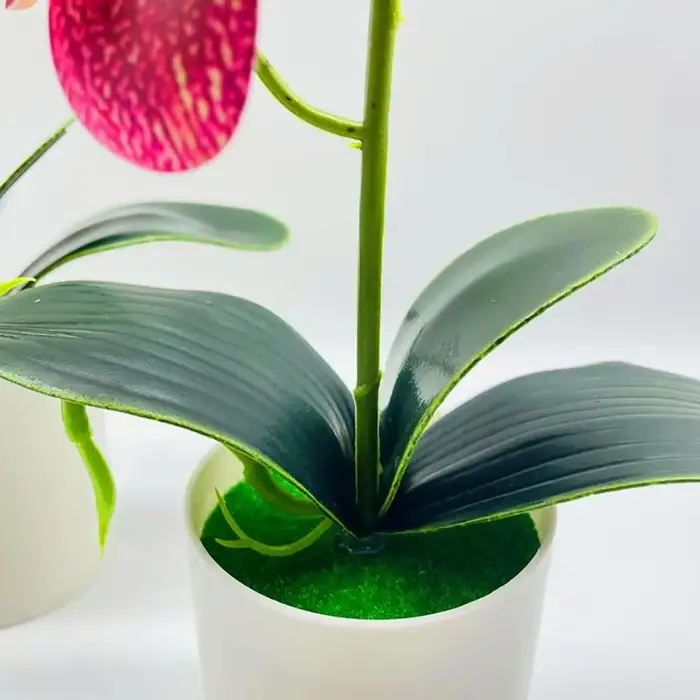 Plante Artificielle Phalaenopsis de 37x18cm