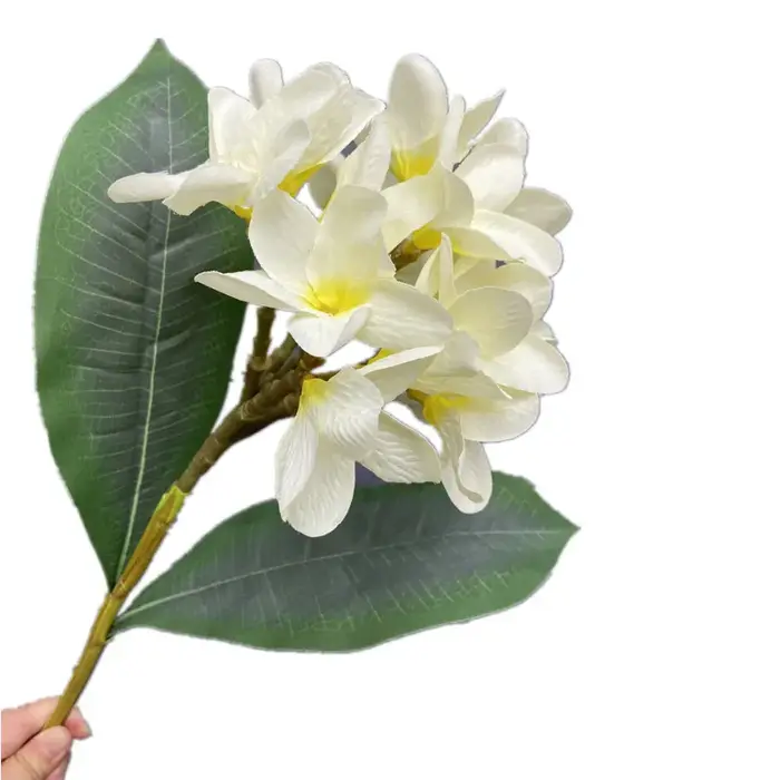 Une branche de fleur Frangipanier en soie avec feuilles vertes Plumeria Rubra fleur Frangipani blanche