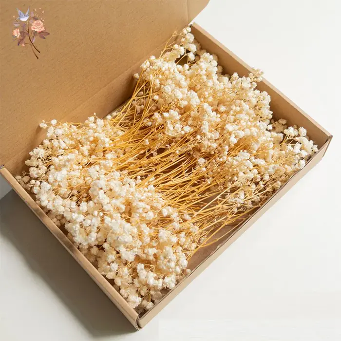 Mini fleur de gypsophile séchée, bricolage, bougie d'aromathérapie, décoration de maison, fleurs éte