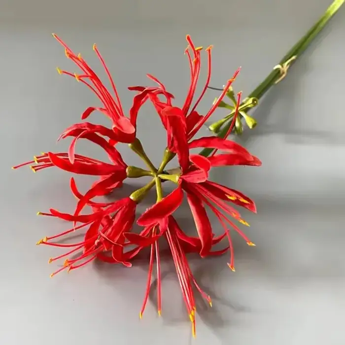 Fleurs artificielles en soie de lys d'araignée rouge