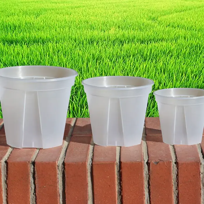 Pots de fleurs en plastique transparent pour contrôle des racines