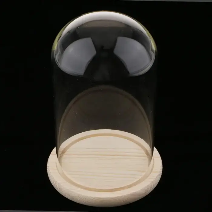 Pot en verre dôme avec Base en bois
