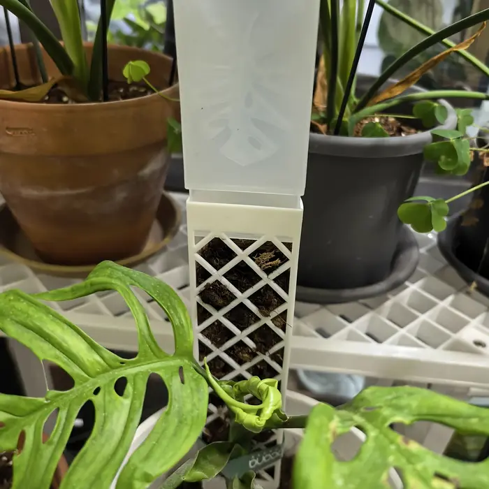 1 pièce Goutteur auto-arrosant réglable en forme de D pour plantes