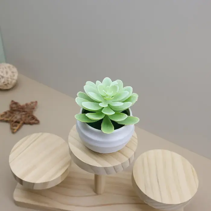Bassin blanc en plastique de plante verte succulente artificielle