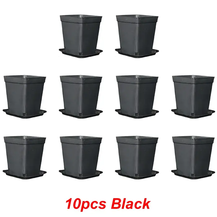 Pots de plantes à fleurs carrés noirs de 7cm, 10 pièces, avec plateau, plantes succulentes, Pot de p