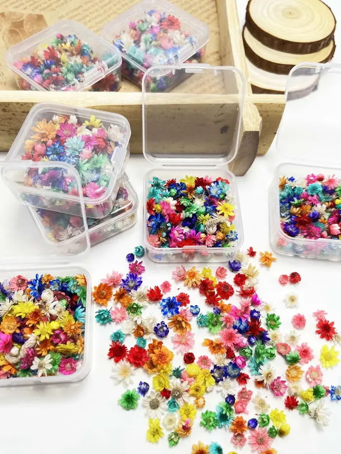 1 boîte de petites fleurs séchées colorées