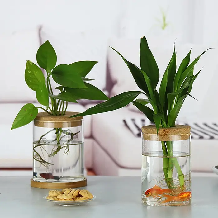 Pot de fleur hydroponique transparent
