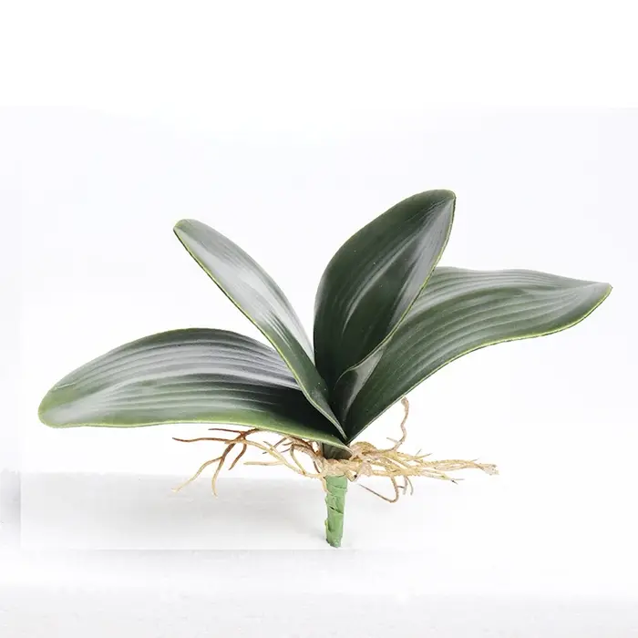 Simulation artificielle de feuilles d'orchidées de papillon
