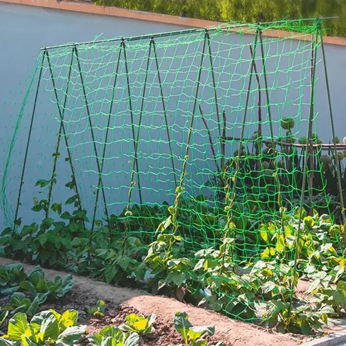 Pergolas pour plantes, filet de culture en polyester robuste