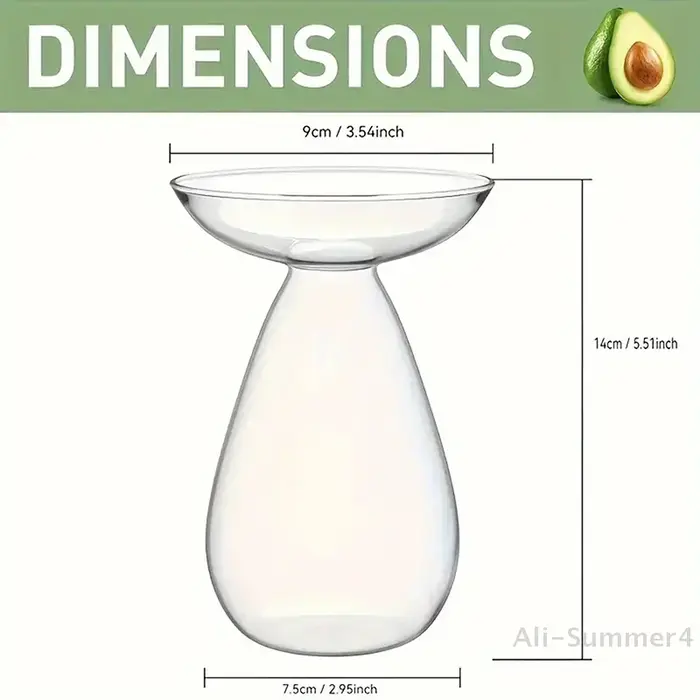 Vase hydroponique Transparent coloré d'avocat