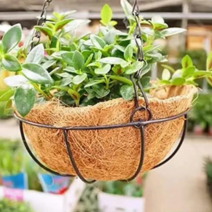 Doublures en fibre optique AMP pour jardinières