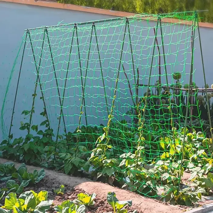 Pergola à treillis pour plantes de 1